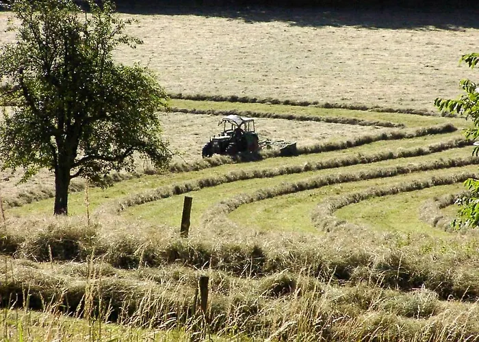 Casa de Férias Schoenblick - Gemuetlich Uebernachten! Ober-Hambach